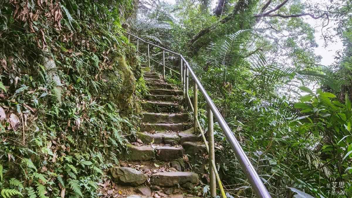 鳶山登山步道 img