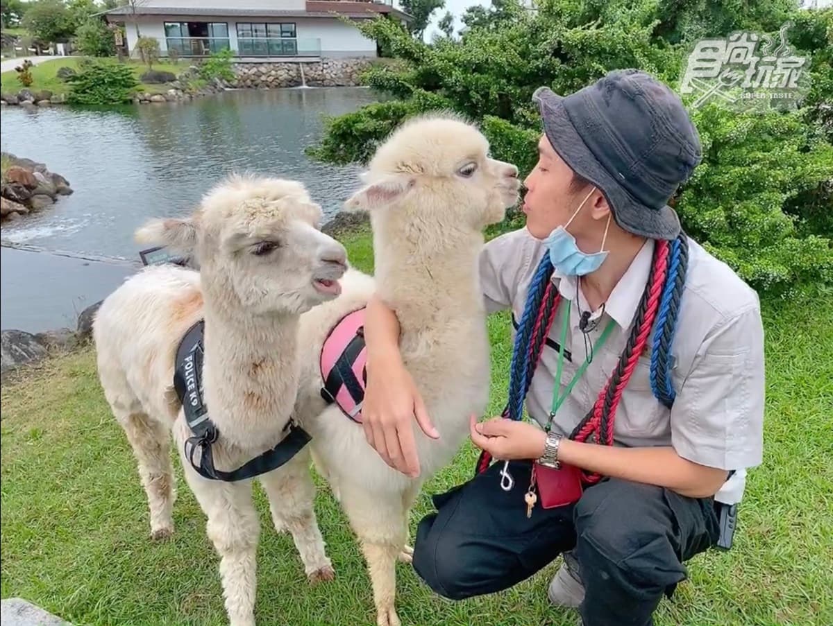 全台唯一免預約「動物體驗飯店」!羊駝、水豚和狐獴都有,還能扮炭治郎、爽泡日式湯泉 全台唯一免預約「動物體驗飯店」!羊駝、水豚和狐獴都有,還能扮炭治郎、爽泡日式湯泉