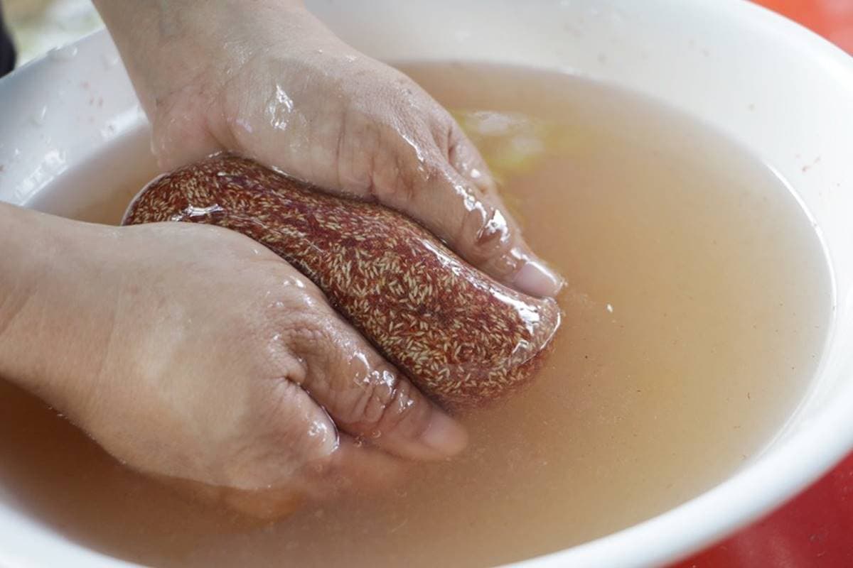 高雄那瑪夏親子遊!原住民「部落渡假村」體驗竹筒飯、愛玉DIY,還能放鬆雙腳泡野溪 高雄那瑪夏親子遊!原住民「部落渡假村」體驗竹筒飯、愛玉DIY,還能放鬆雙腳泡野溪