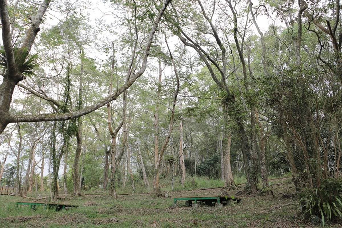 高雄那瑪夏親子遊!原住民「部落渡假村」體驗竹筒飯、愛玉DIY,還能放鬆雙腳泡野溪 高雄那瑪夏親子遊!原住民「部落渡假村」體驗竹筒飯、愛玉DIY,還能放鬆雙腳泡野溪