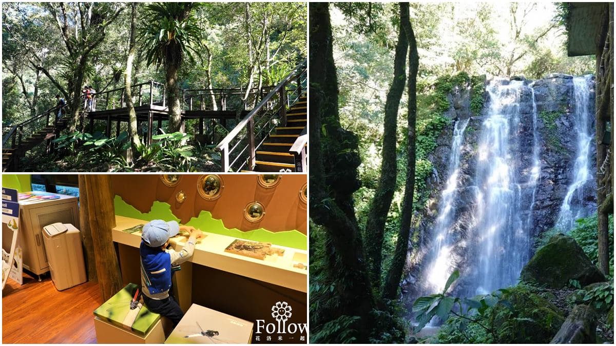 大口吸芬多精!三峽森林遊樂園區能賞瀑布、看鳥明星,還有3大室內館區玩不膩