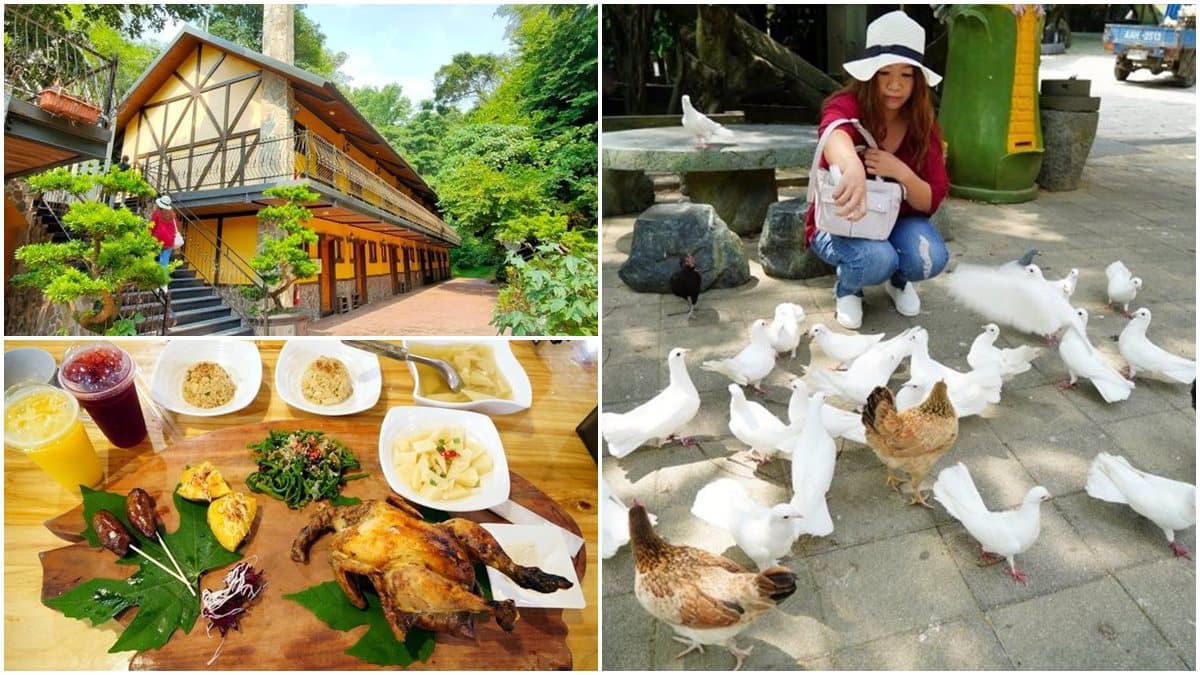 來玩整天!台南休閒農場能餵小動物、嗑Q彈烤土雞+百變竹筍餐,還可住歐風別墅