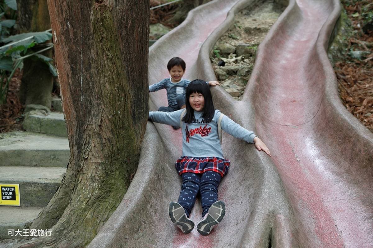 50元玩一整天!南投生態園區賞100多種鳥類、餵鸚鵡體驗,還有孩子最愛森林溜滑梯 50元玩一整天!南投生態園區賞100多種鳥類、餵鸚鵡體驗,還有孩子最愛森林溜滑梯