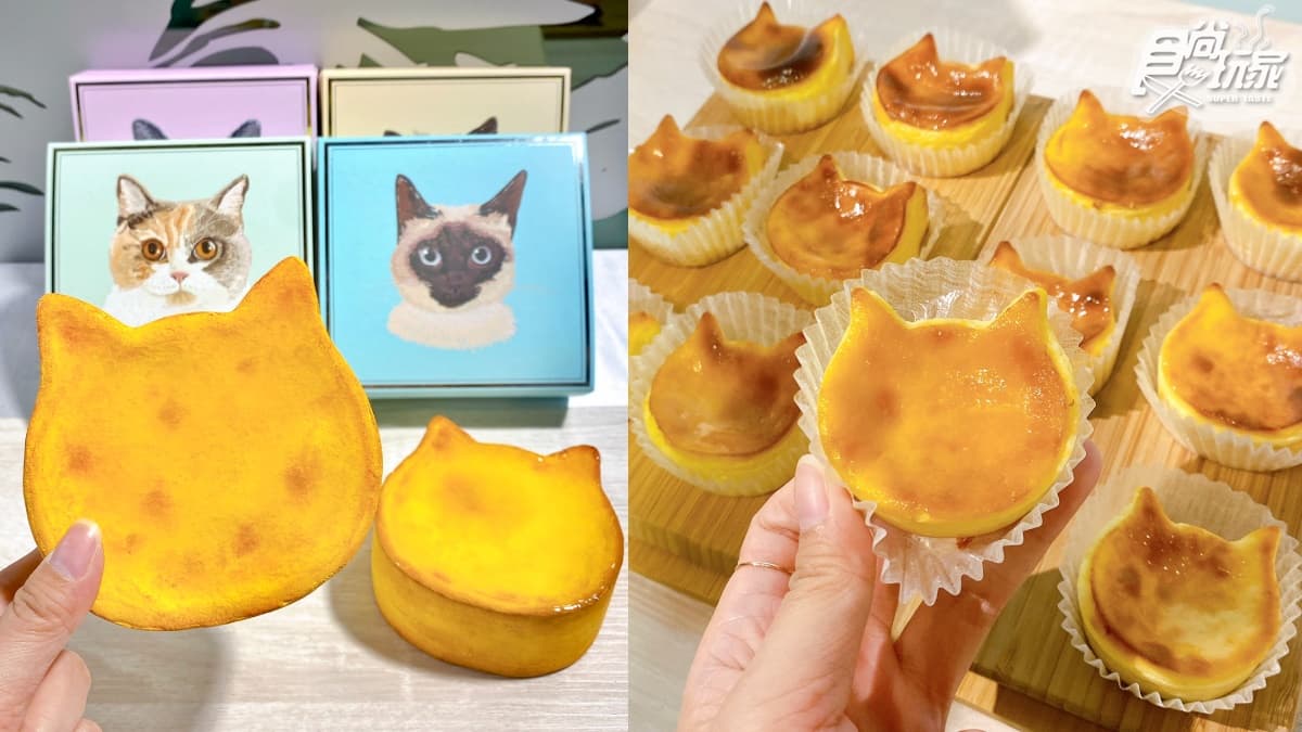 貓奴淪陷!日本爆紅NEKO NEKO CHEESECAKE「貓貓起司蛋糕」明天登場,快閃地點、日期一次看