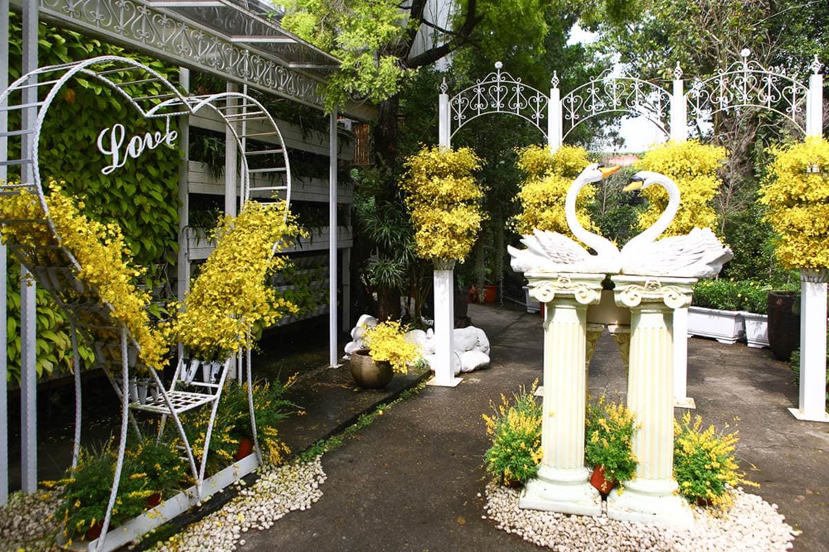 美到犯規!苗栗超繽紛繡球花園「毛小孩」也能來,打卡3D鏡中花、湖畔享玫瑰全餐 美到犯規!苗栗超繽紛繡球花園「毛小孩」也能來,打卡3D鏡中花、湖畔享玫瑰全餐