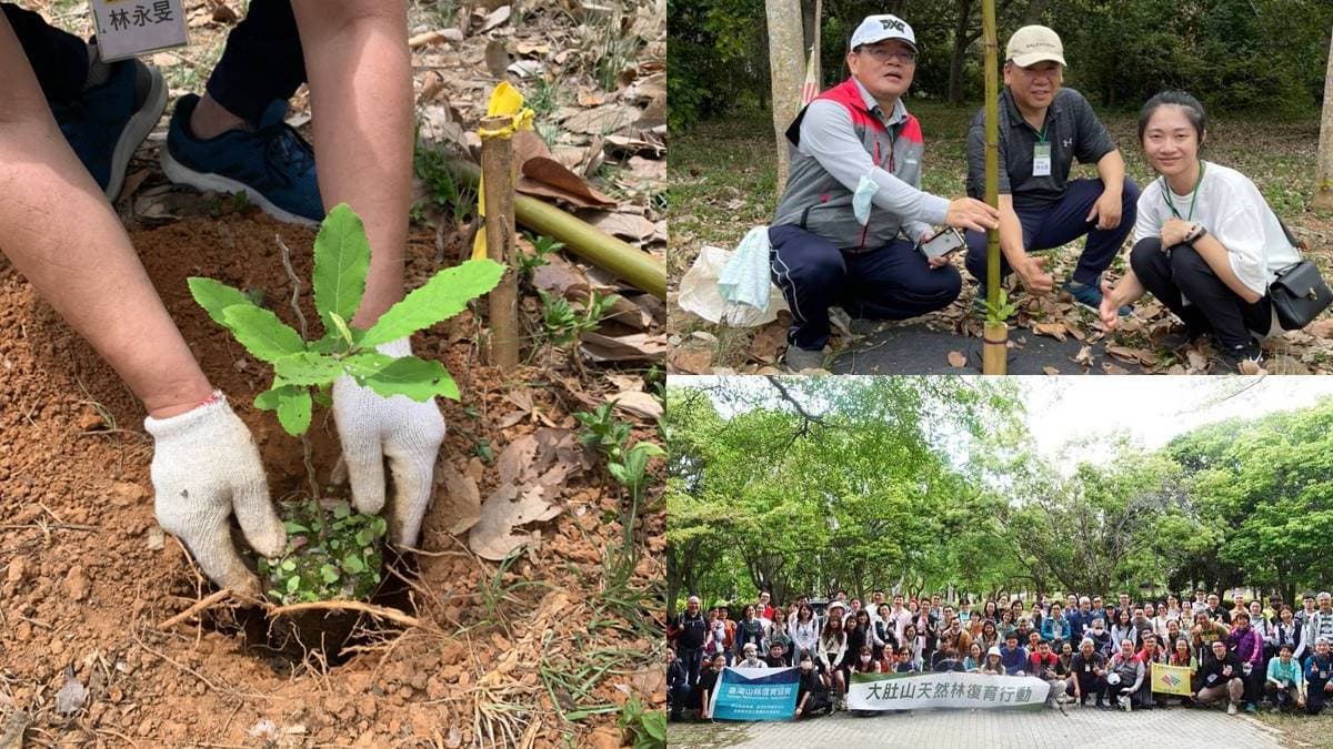 踏青好去處!台中都會公園美景再加碼,28種大肚山原生樹5/15入住