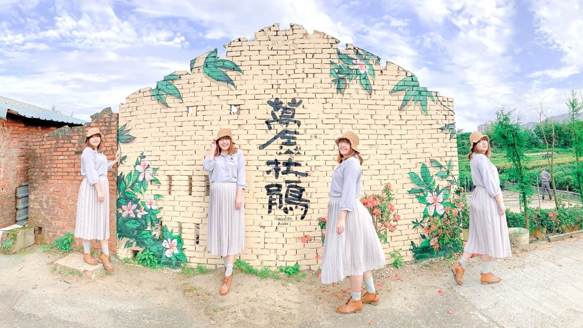 萬金杜鵑塗鴉牆