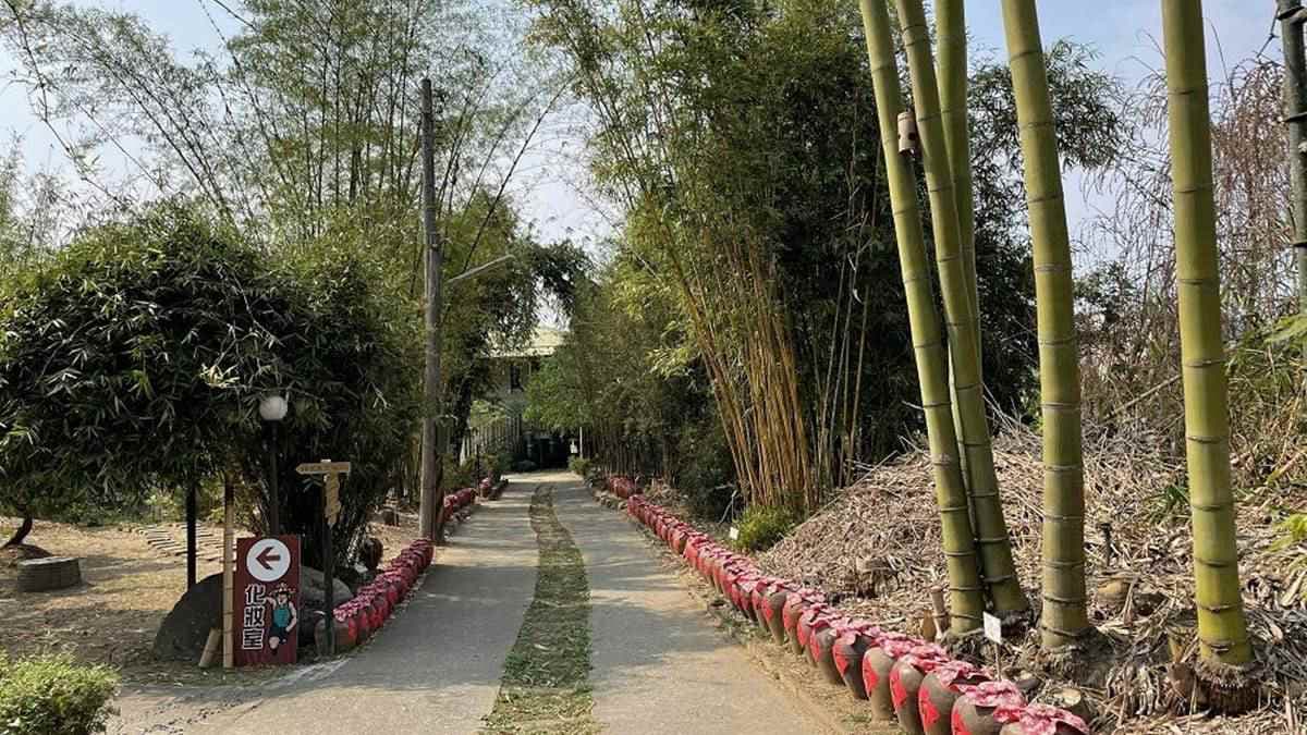 騎竹鐵馬、嗑竹筒飯套餐!來南投民宿住一晚能賞120種竹,連地板都飄竹蓆香 騎竹鐵馬、嗑竹筒飯套餐!來南投民宿住一晚能賞120種竹,連地板都飄竹蓆香