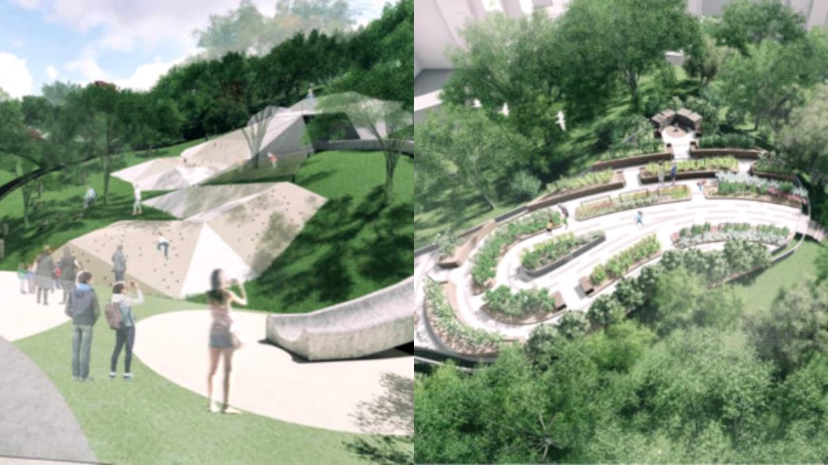 放電天堂再+1!11公頃「文山森林公園」2022年開幕,46公尺溜滑梯、5大主題區一次看