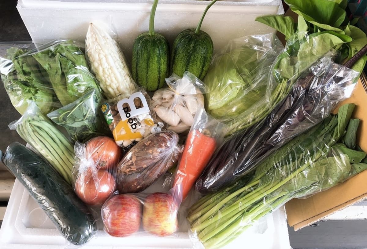宜蘭人快收!5家在地「小農蔬菜箱」新鮮直送,有機蔬果、防疫乾貨一次備齊 宜蘭人快收!5家在地「小農蔬菜箱」新鮮直送,有機蔬果、防疫乾貨一次備齊