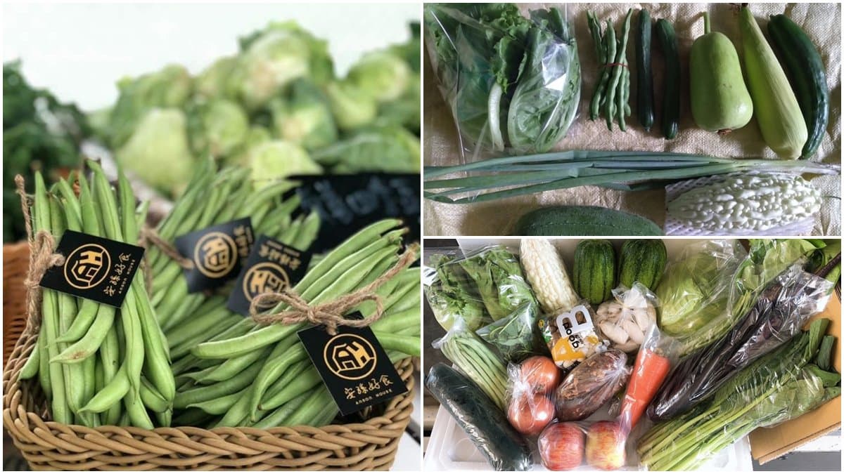 宜蘭人快收!5家在地「小農蔬菜箱」新鮮直送,有機蔬果、防疫乾貨一次備齊