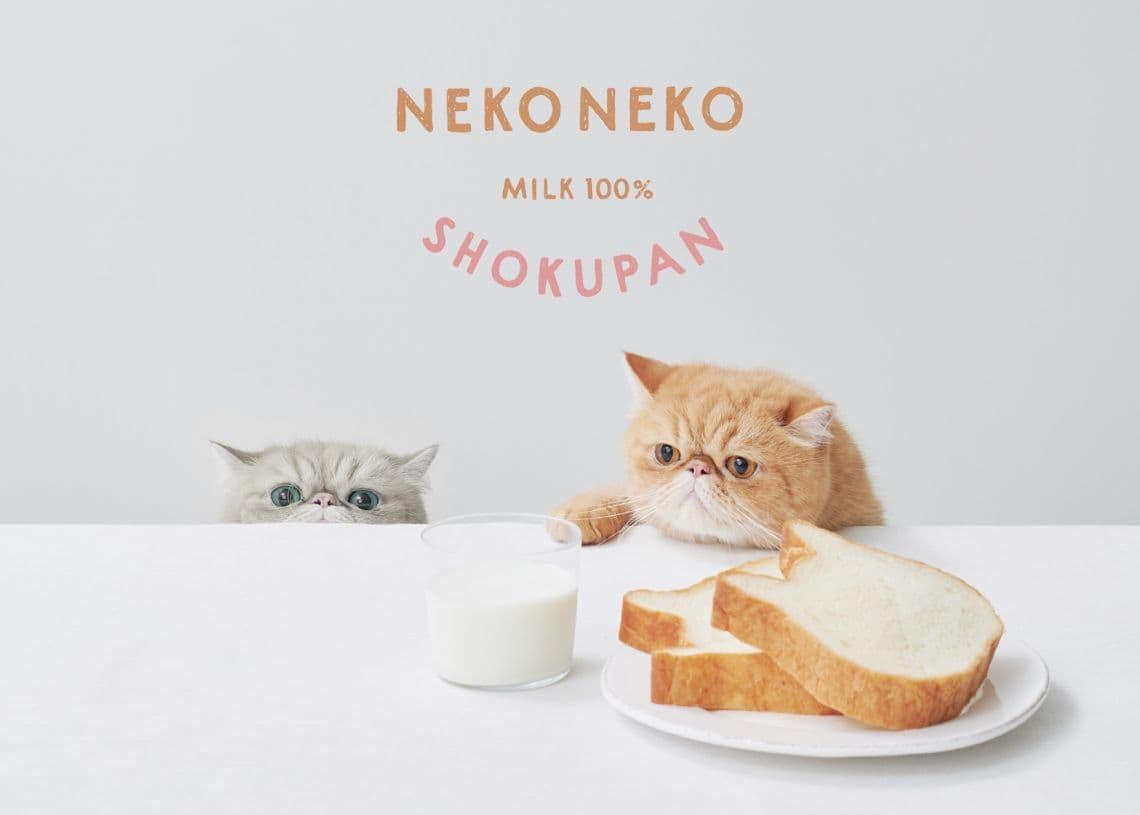 NEKO NEKO SHOKUPAN 貓咪吐司 img