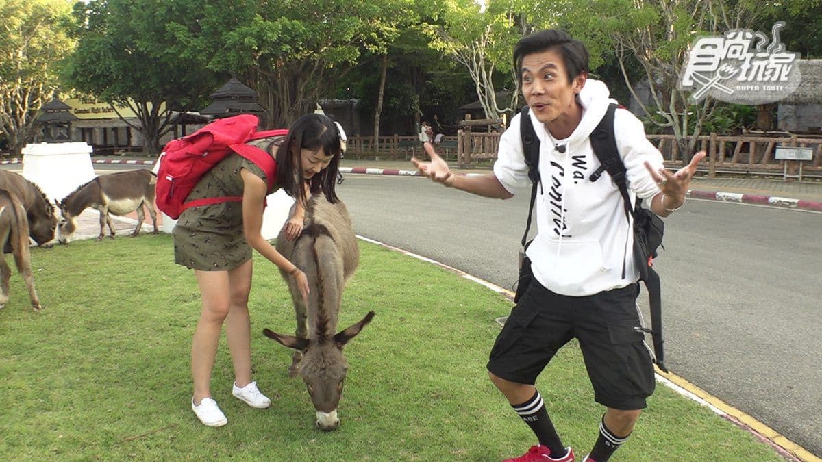 先收進旅行清單裡!泰國3大獨家玩法:海底漫步、夜遊動物園、泰式古裝寫真 先收進旅行清單裡!泰國3大獨家玩法:海底漫步、夜遊動物園、泰式古裝寫真