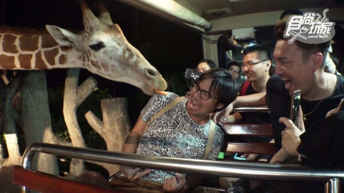 先收進旅行清單裡!泰國3大獨家玩法:海底漫步、夜遊動物園、泰式古裝寫真 先收進旅行清單裡!泰國3大獨家玩法:海底漫步、夜遊動物園、泰式古裝寫真