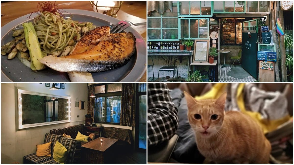 店貓店狗陪吃!隱藏版「老宅餐酒館」打卡必拍復古風擺設,先嗑大塊鮭魚青醬麵