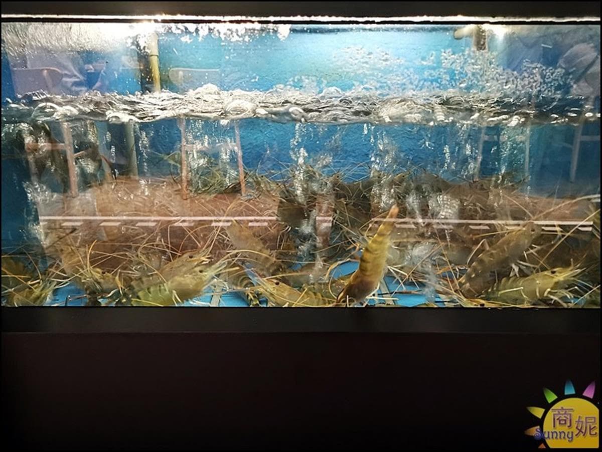 整艘船開進店!IG暴紅「海鮮餐廳」必點隱藏版鹽焗蝦,屏東直送「泰國蝦」每隻都爆膏 整艘船開進店!IG暴紅「海鮮餐廳」必點隱藏版鹽焗蝦,屏東直送「泰國蝦」每隻都爆膏