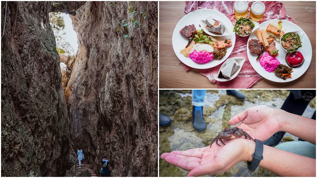 親子必衝!恆春生態2日遊7行程:打卡珊瑚礁公園、夜遊鵝鑾鼻、吃火龍果飯
