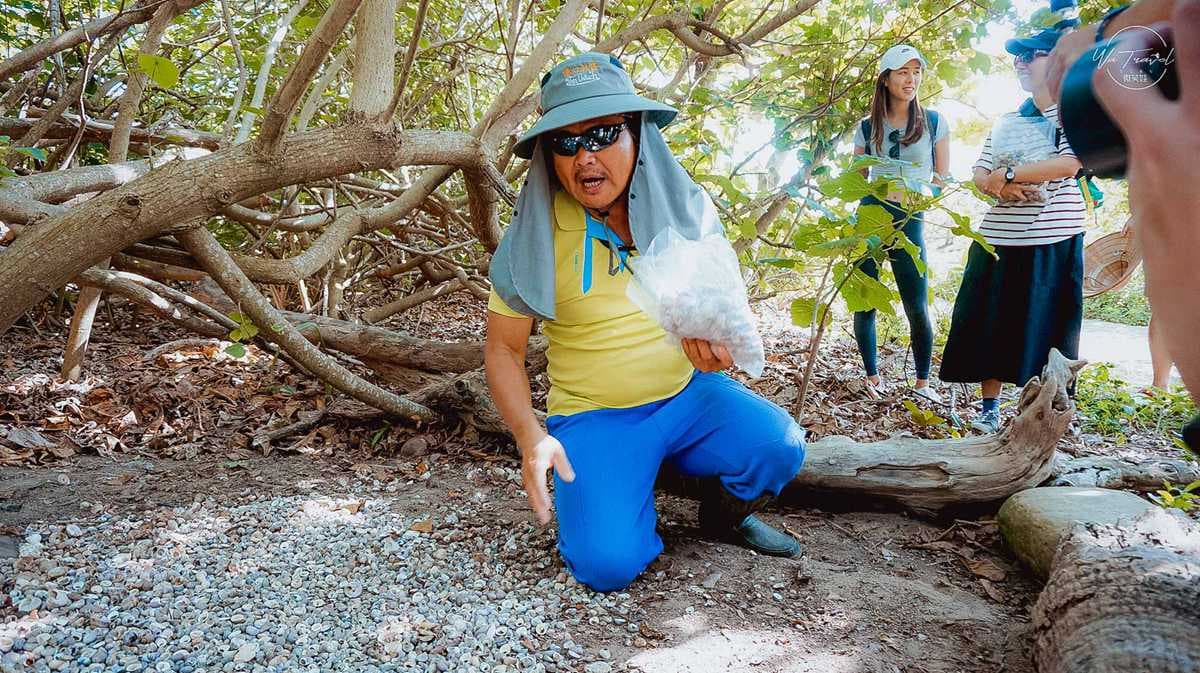 親子必衝!恆春生態2日遊7行程:打卡珊瑚礁公園、夜遊鵝鑾鼻、吃火龍果飯 親子必衝!恆春生態2日遊7行程:打卡珊瑚礁公園、夜遊鵝鑾鼻、吃火龍果飯
