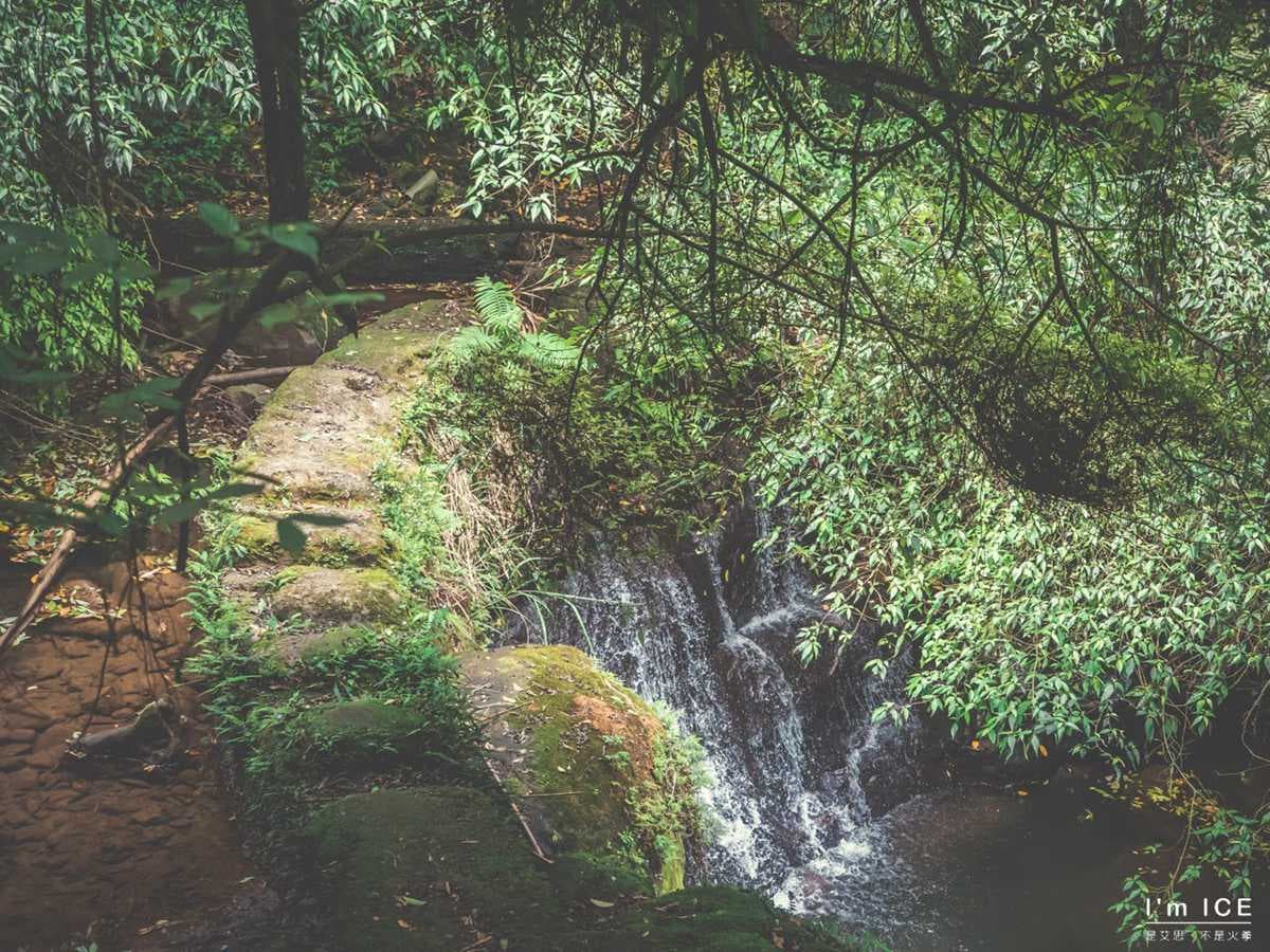 打卡祕境再+1!無人步道賞「水濂洞」美景,親子同遊還能挑戰趣味網梯 打卡祕境再+1!無人步道賞「水濂洞」美景,親子同遊還能挑戰趣味網梯