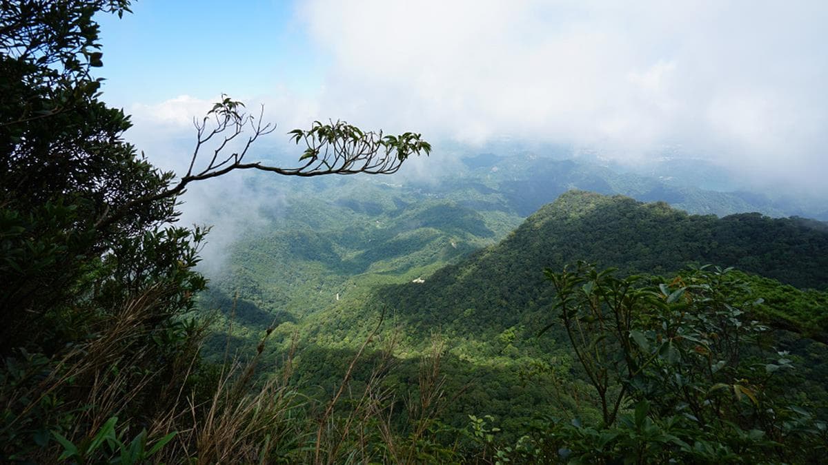 外鳥嘴山