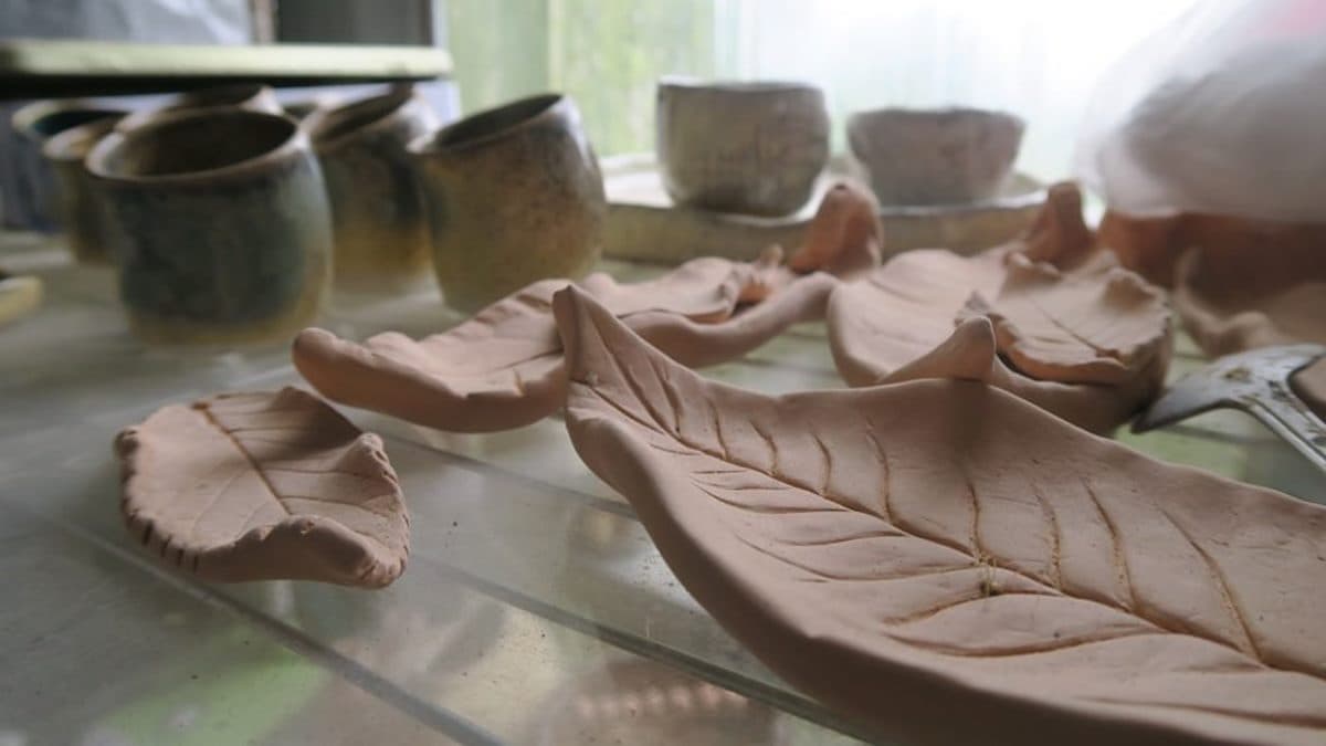 蛇舌子陶藝工作室