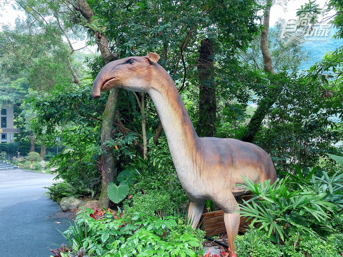 恐龍迷注意!溫泉飯店推「遠古生物展」,必拍7公尺金剛、霸王龍互動有叫聲 恐龍迷注意!溫泉飯店推「遠古生物展」,必拍7公尺金剛、霸王龍互動有叫聲