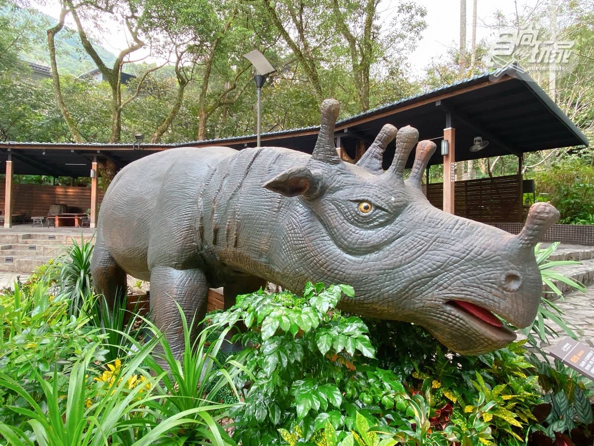 恐龍迷注意!溫泉飯店推「遠古生物展」,必拍7公尺金剛、霸王龍互動有叫聲 恐龍迷注意!溫泉飯店推「遠古生物展」,必拍7公尺金剛、霸王龍互動有叫聲