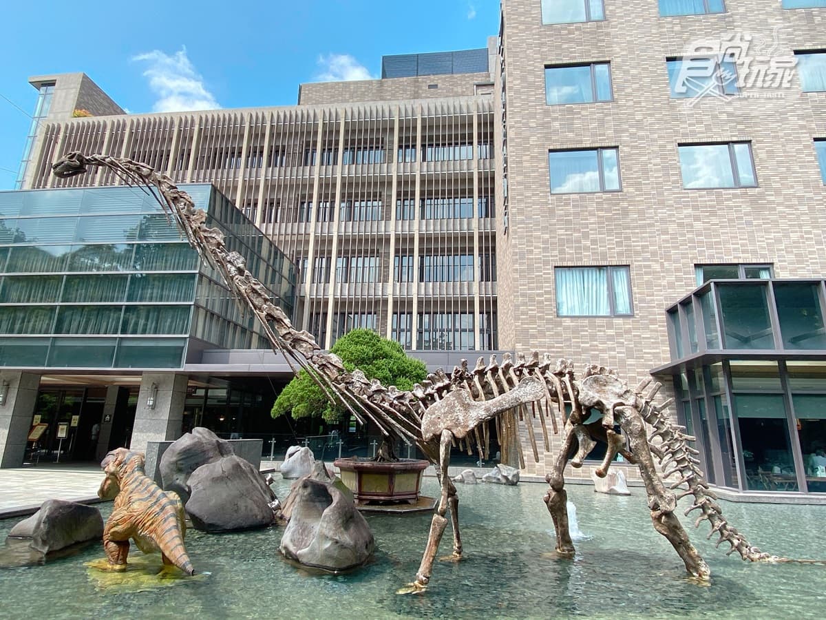 恐龍迷注意!溫泉飯店推「遠古生物展」,必拍7公尺金剛、霸王龍互動有叫聲 恐龍迷注意!溫泉飯店推「遠古生物展」,必拍7公尺金剛、霸王龍互動有叫聲