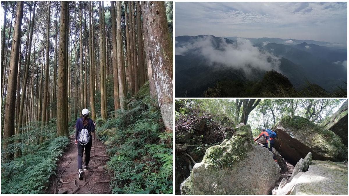 專車接駁超輕鬆!苗栗祕境登山步道賞「雪山聖稜線」,還能美拍森林鐵道