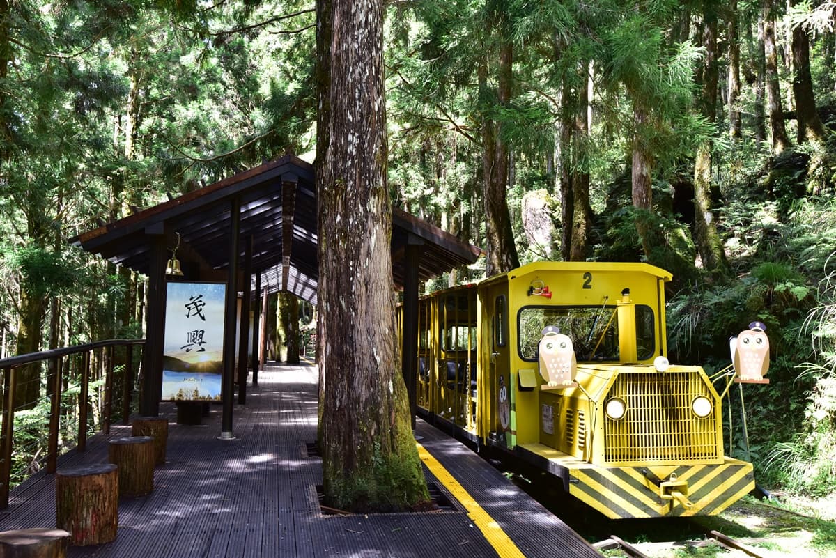 全台「國家森林遊樂區」雙十連假5折入園!振興券再享買一送一、住宿折扣 全台「國家森林遊樂區」雙十連假5折入園!振興券再享買一送一、住宿折扣