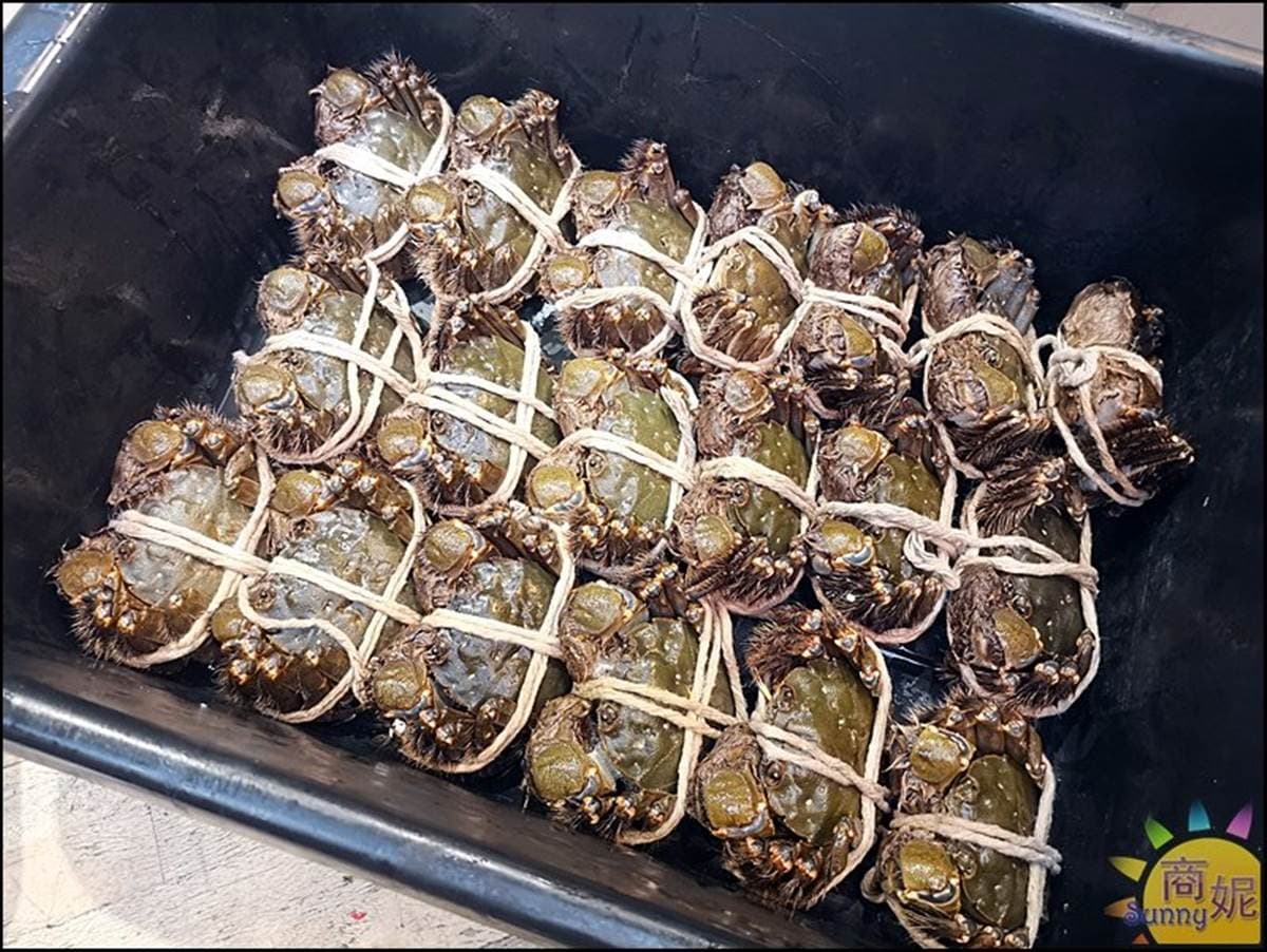大閘蟹買一送一!台中「浮誇系日料」搶吃滿膏大閘蟹,活體大龍蝦也必點 大閘蟹買一送一!台中「浮誇系日料」搶吃滿膏大閘蟹,活體大龍蝦也必點