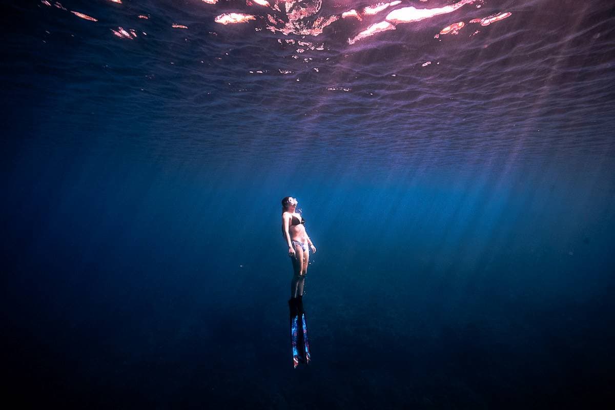 網美必衝!墾丁預約制「潛水活動」體驗變身美人魚,還能與海龜共遊海底世界 網美必衝!墾丁預約制「潛水活動」體驗變身美人魚,還能與海龜共遊海底世界