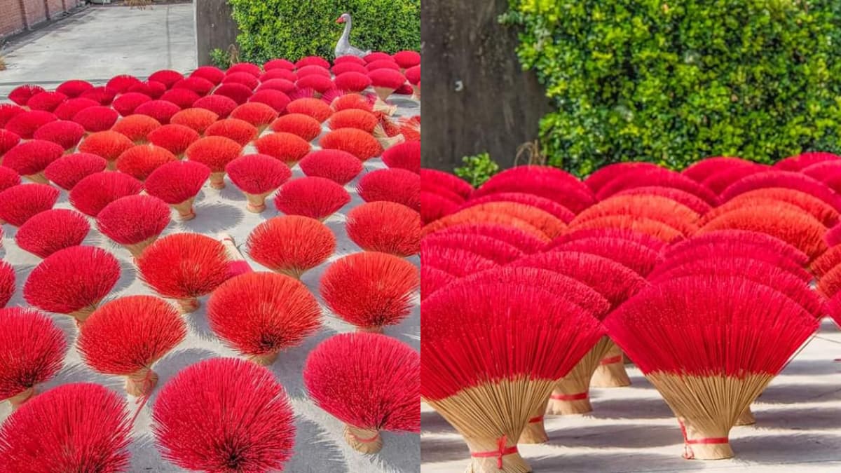 「粉紅波波草花海」夢幻必拍!嘉義曬香腳超吸睛,網驚呼:像巨大粉撲