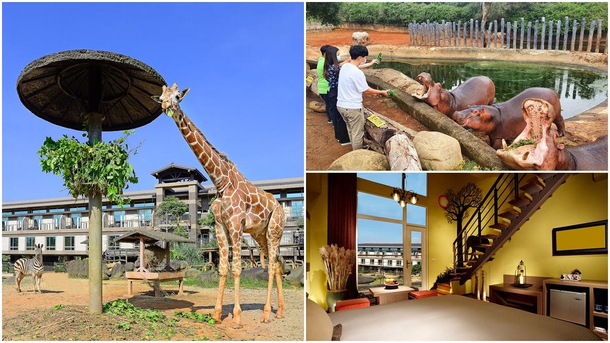 3折爽住動物園飯店、吃到飽近半價!3大飯店好康一次看,還有首創河馬餵食
