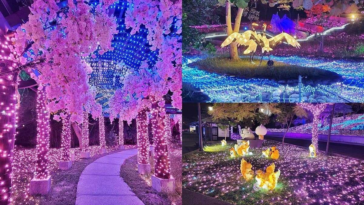 全台最南燈會「四重溪溫泉季」!櫻花隧道、日式神社必拍,加碼免費浴衣體驗