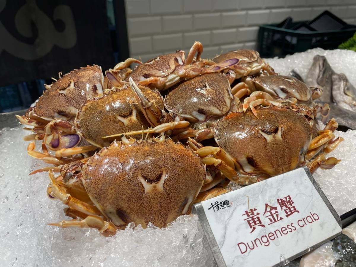439元爽吃螃蟹!千葉冬季限定「黃金蟹、三點蟹」,壽星再享5折優惠 439元爽吃螃蟹!千葉冬季限定「黃金蟹、三點蟹」,壽星再享5折優惠