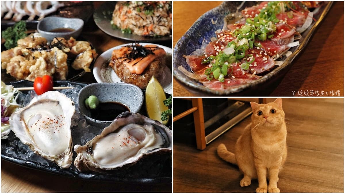 超萌店寵陪吃!新竹深夜居酒屋必吃肥美「廣島生蠔」,和風醬生牛肉入口即化