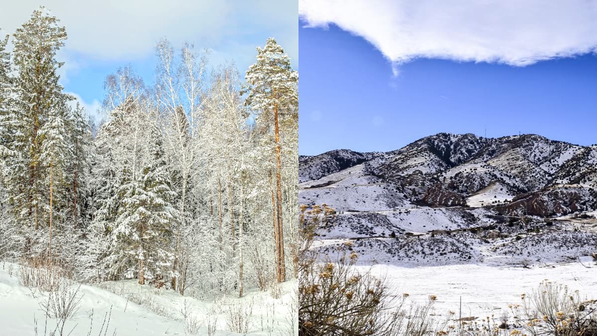 追雪族預備備!合歡山下冰霰「低溫探0度」,白霧繚繞宛如仙境