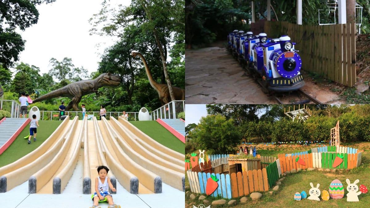 遛小孩必衝!苗栗5大親子打卡點:恐龍溜滑梯、花田小火車、小白兔童趣布景