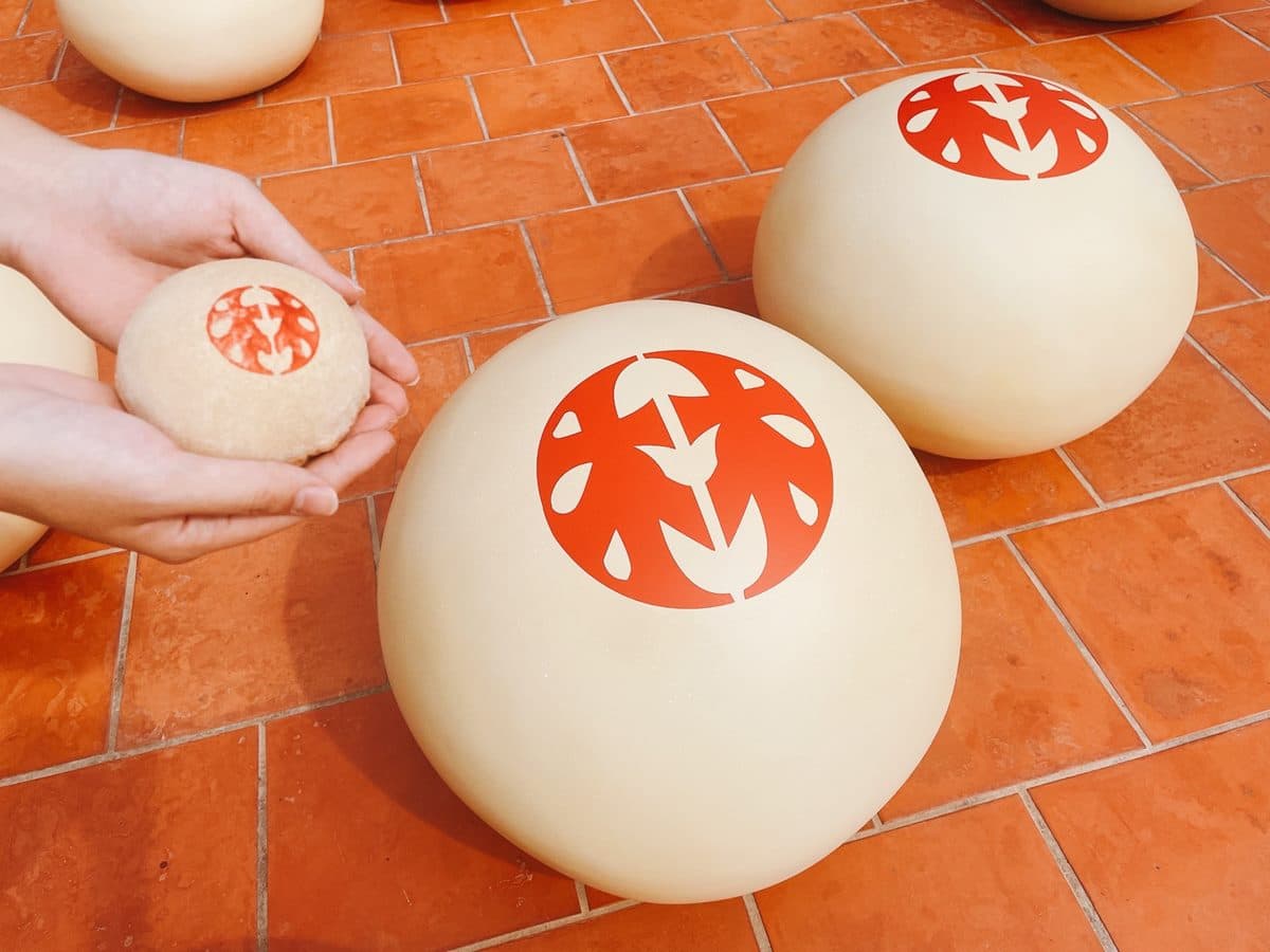 台南「巨型椪餅群」出現林百貨!百年經典「林椪餅」必買,還有老店體驗可玩 台南「巨型椪餅群」出現林百貨!百年經典「林椪餅」必買,還有老店體驗可玩