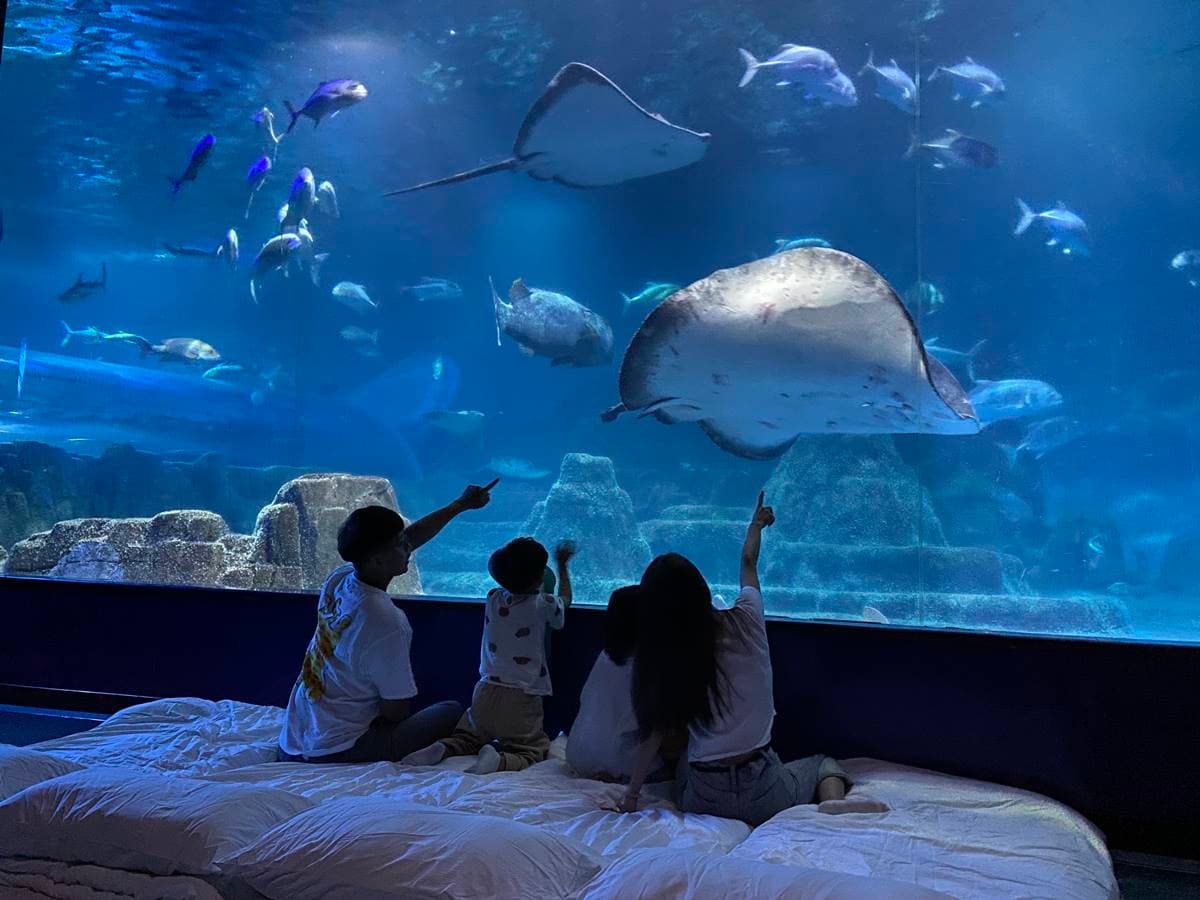 買1晚送1晚!高雄洲際酒店等3旅宿快閃好康,免費夜宿水族館、爽住打卡房 買1晚送1晚!高雄洲際酒店等3旅宿快閃好康,免費夜宿水族館、爽住打卡房