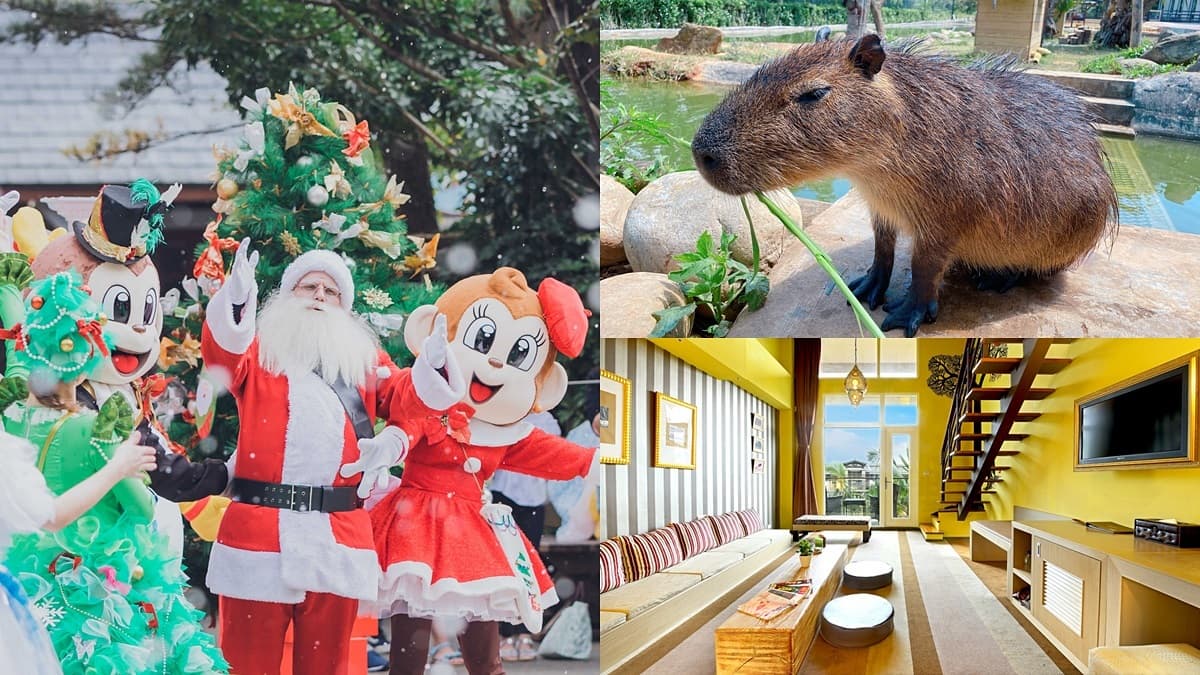 全台最正宗飄雪耶誕村!動物體驗飯店和狐獴、水豚過耶誕,入住免費玩六福村