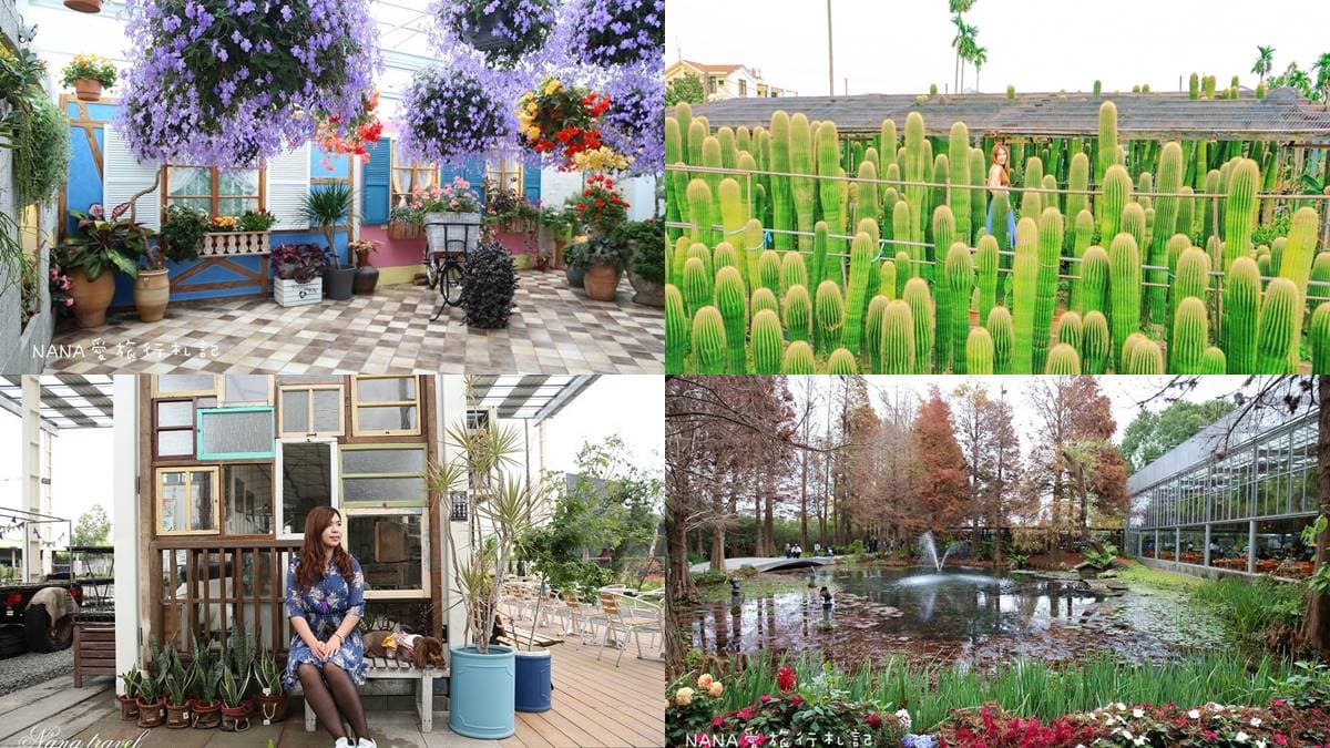網美快衝!彰化4大花草系景點:仙人掌綠洲、歐風花園,順路逛三合院喝咖啡