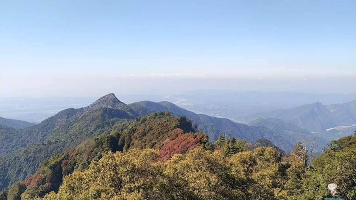 12月季節限定美景!台中「祕境步道」打卡楓紅地毯,攻頂美照怎麼拍都好看 12月季節限定美景!台中「祕境步道」打卡楓紅地毯,攻頂美照怎麼拍都好看
