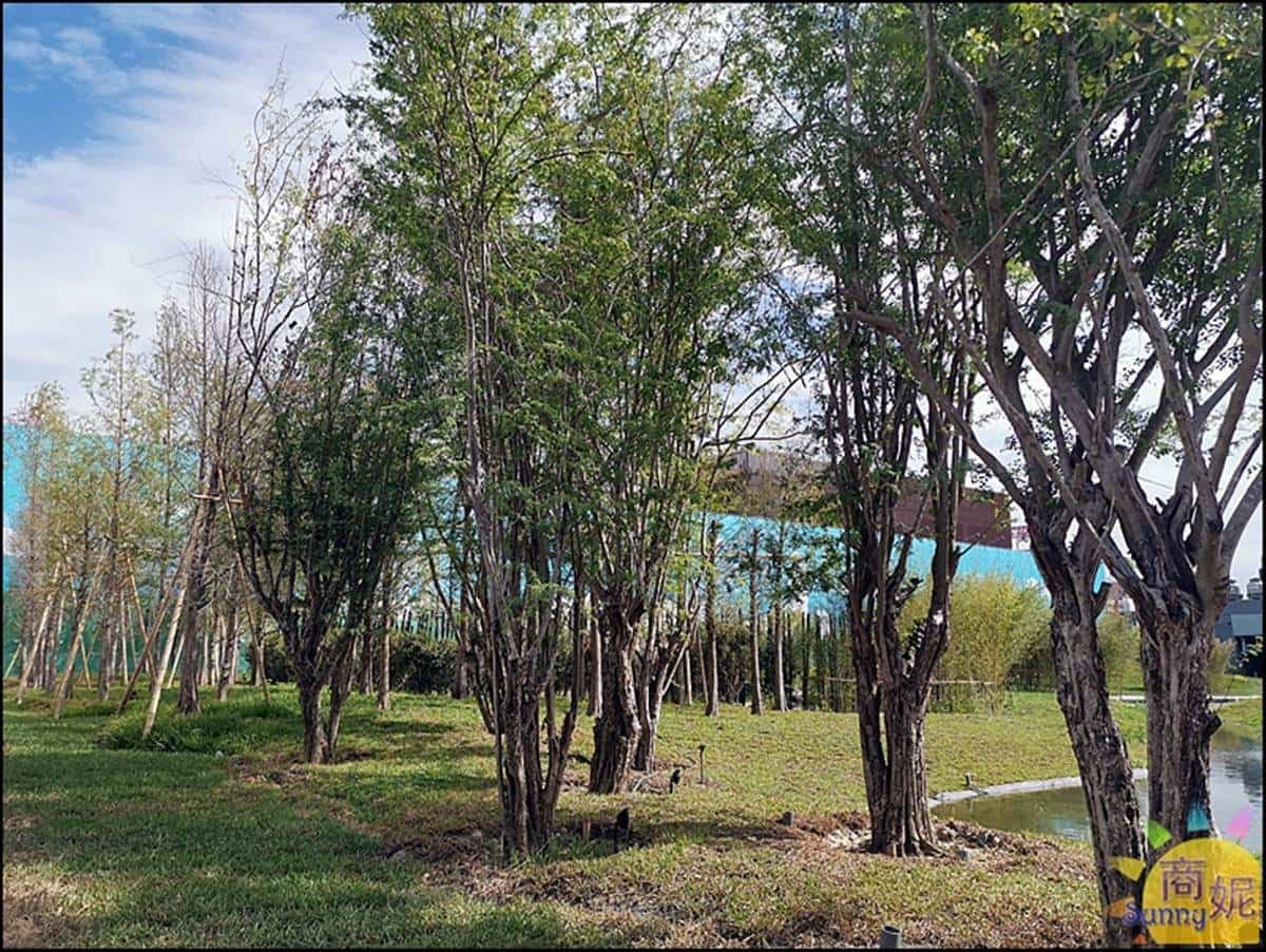 期間限定免費景點!台中「生態公園」打卡祕境竹林,水上石板步道宛如伸展台 期間限定免費景點!台中「生態公園」打卡祕境竹林,水上石板步道宛如伸展台