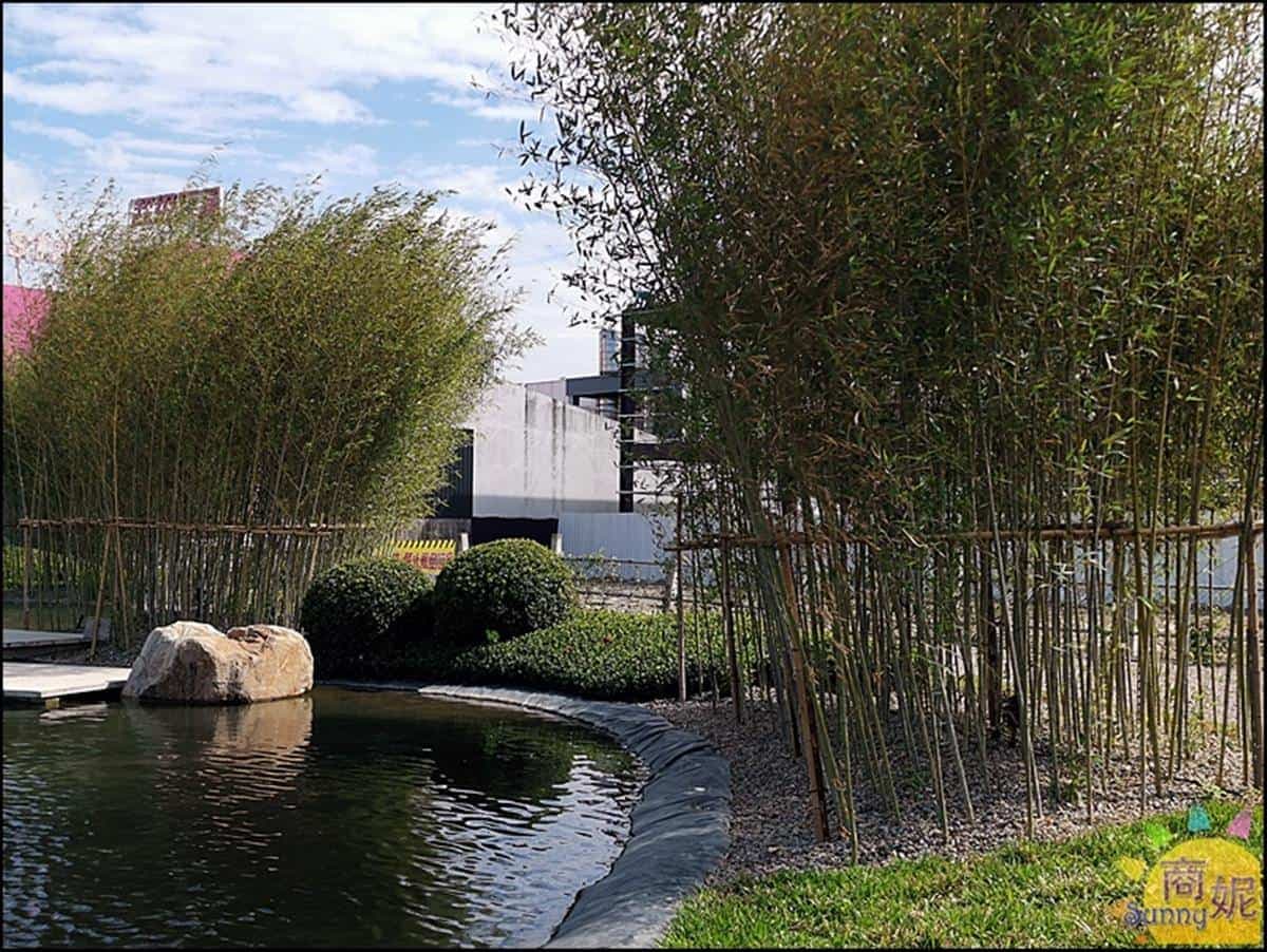 期間限定免費景點!台中「生態公園」打卡祕境竹林,水上石板步道宛如伸展台 期間限定免費景點!台中「生態公園」打卡祕境竹林,水上石板步道宛如伸展台