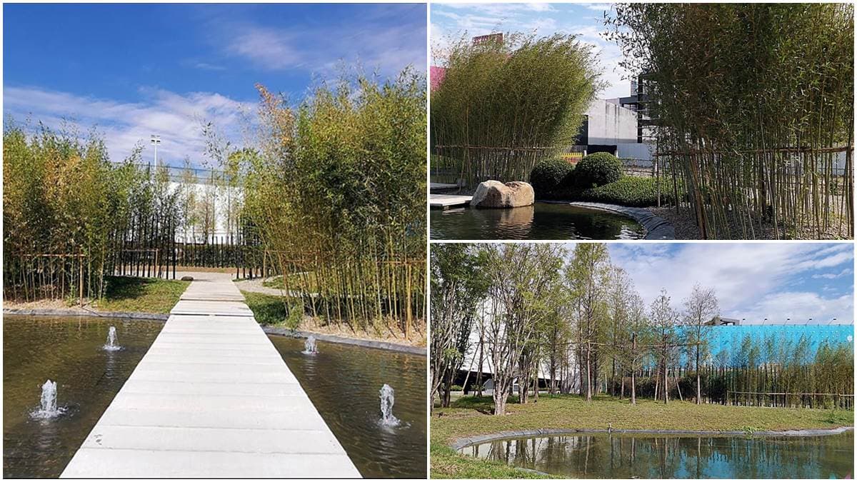 期間限定免費景點!台中「生態公園」打卡祕境竹林,水上石板步道宛如伸展台