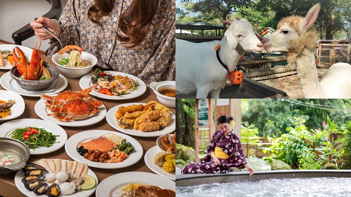 27組身分證限定!不到半價爽住台南飯店,還有買一送一、動物園門票優惠