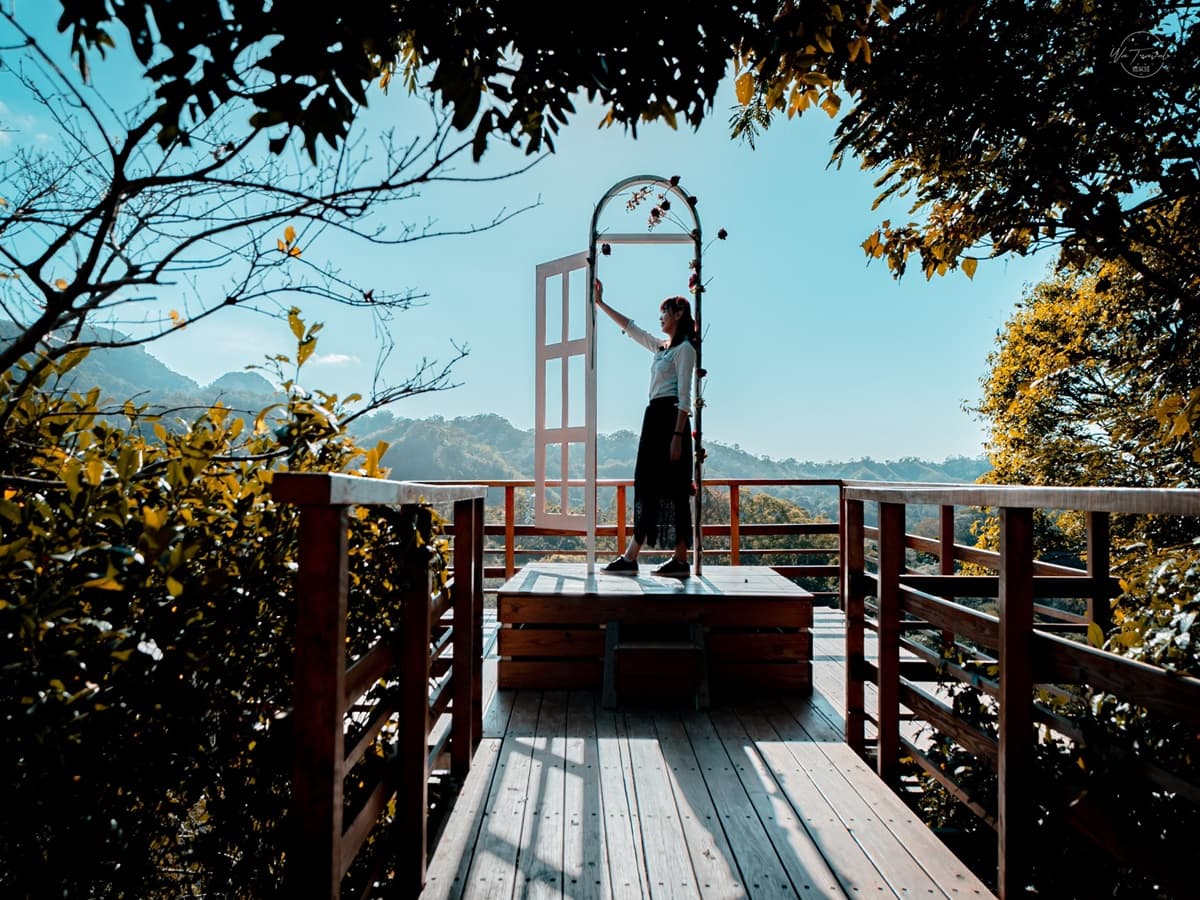 美拍祕境!苗栗森林果園打卡浪漫「橘子隧道」,夢幻玻璃屋網美最愛 美拍祕境!苗栗森林果園打卡浪漫「橘子隧道」,夢幻玻璃屋網美最愛