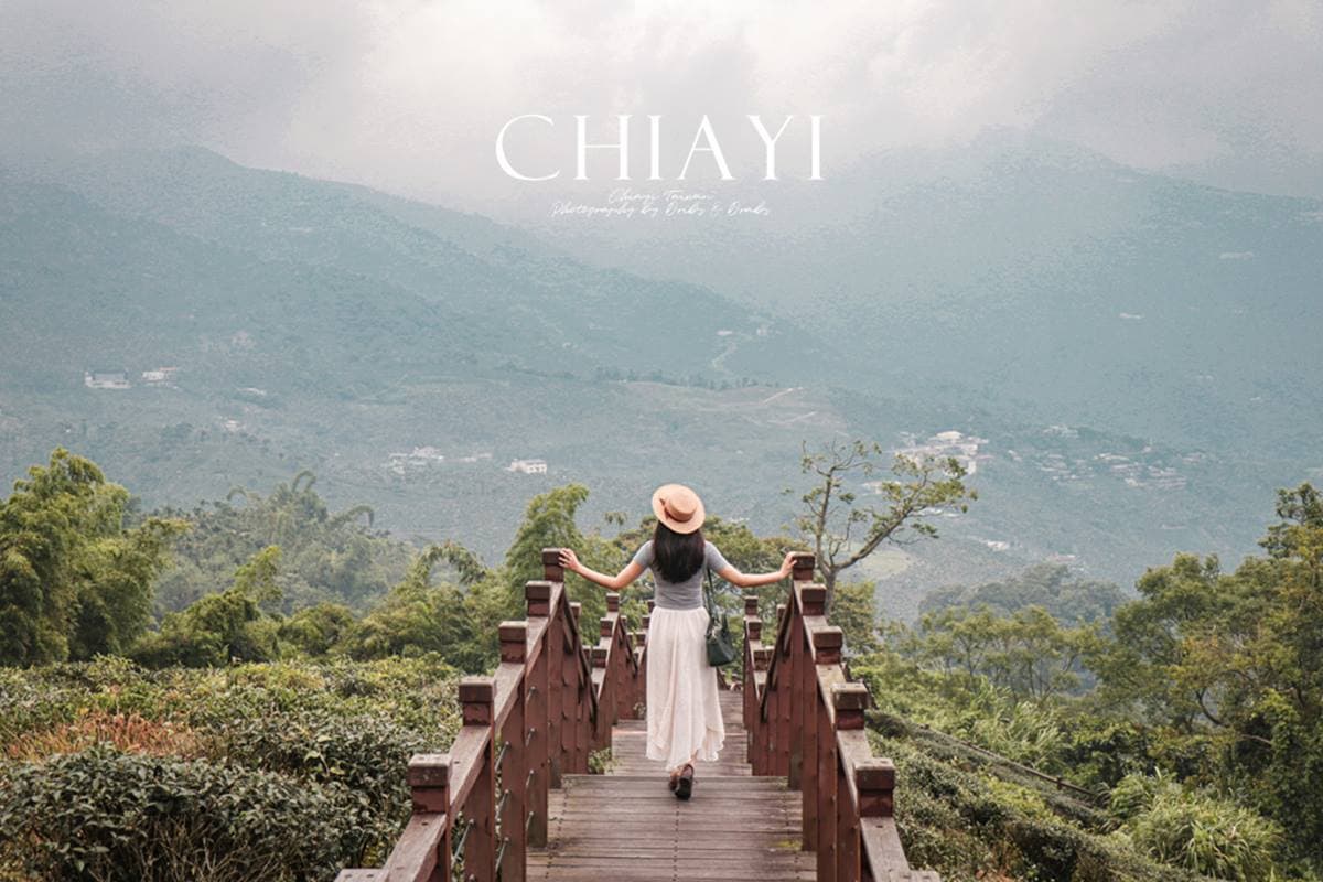 網美來打卡!阿里山4條美拍「茶園步道」:整片東方美人茶園、五星級步道 網美來打卡!阿里山4條美拍「茶園步道」:整片東方美人茶園、五星級步道